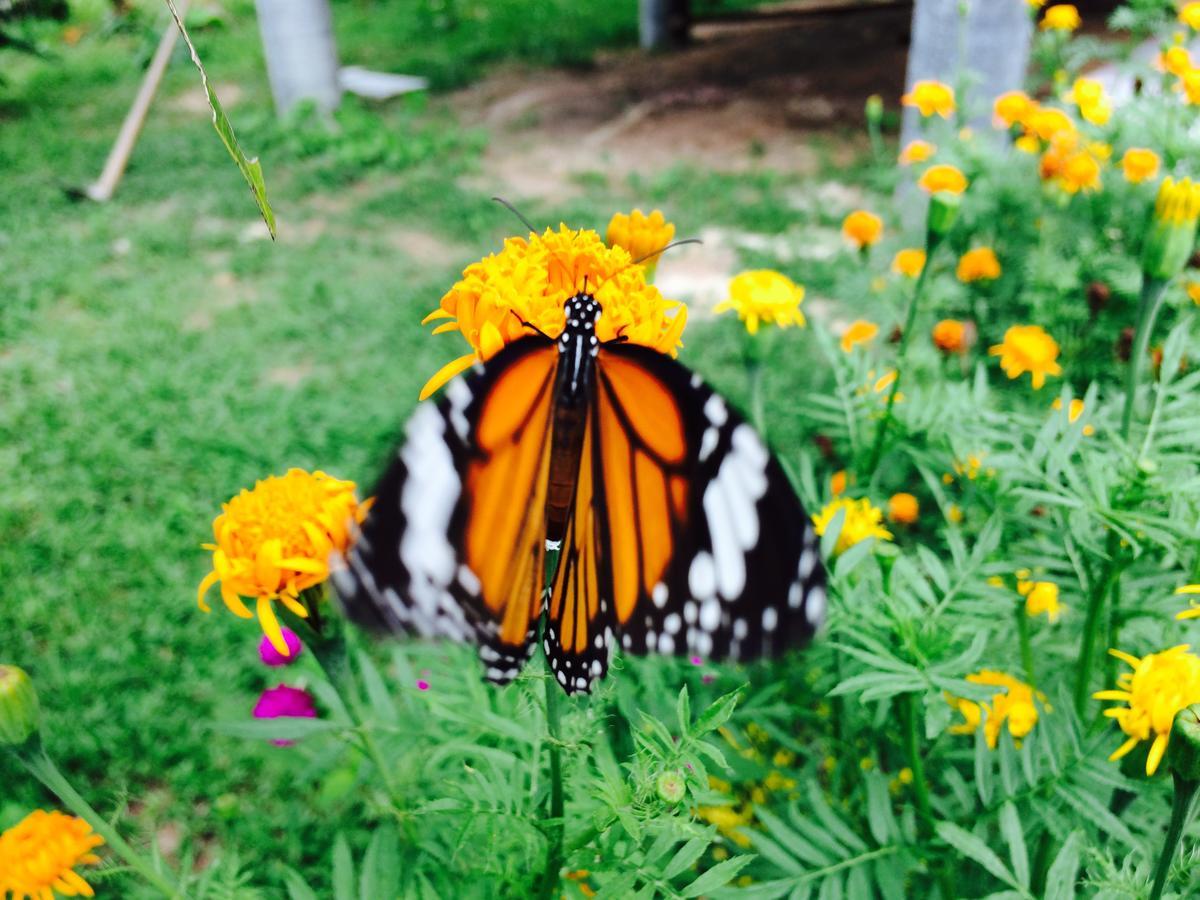 Gardenhomeresortkohjum 코 줌 외부 사진